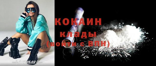 тгк Бронницы