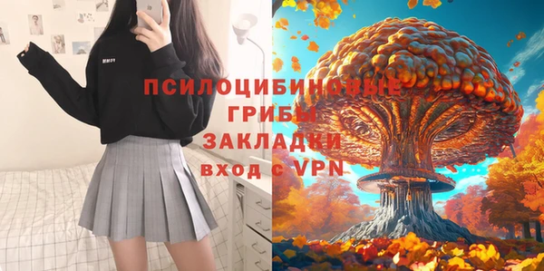 тгк Бронницы