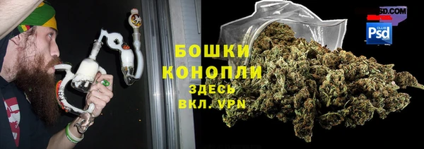 тгк Бронницы